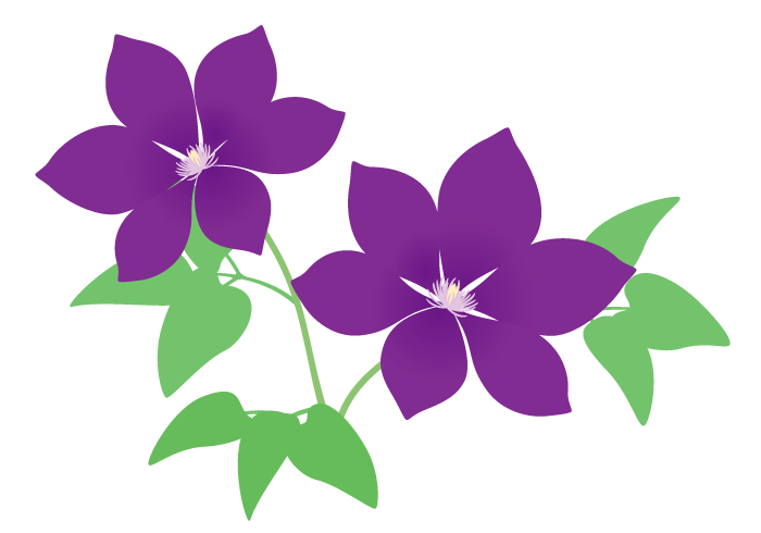 クレマチスの花 高品質な無料のフリーイラスト素材集