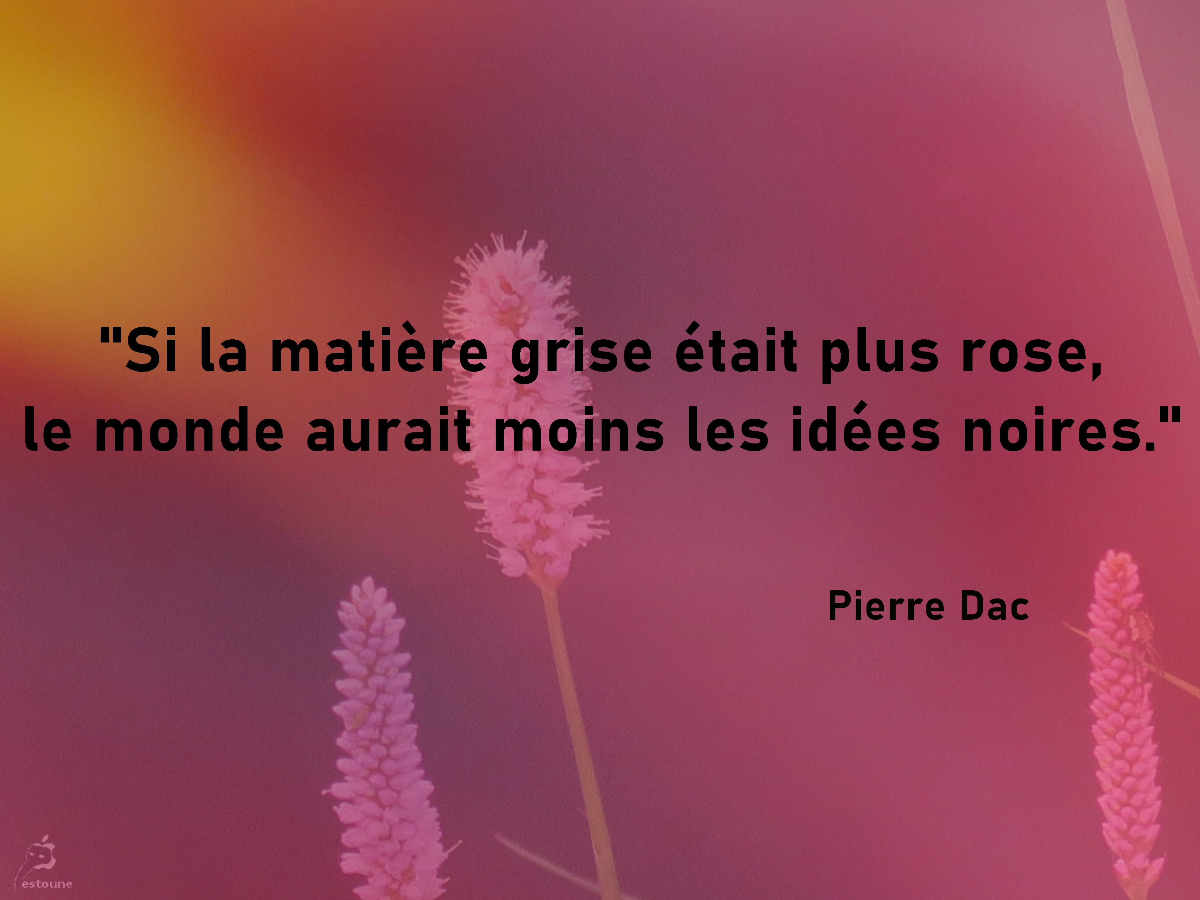 La Vie En Couleur Sur Une Citation De Pierre Dac Le Jardin De Mes Etoiles