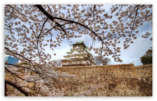 Osaka Castle Sakura Ultra Hd Desktop Background Wallpaper For 4k Uhd Tv Widescreen Ultrawide Desktop Laptop Tablet Smartphone