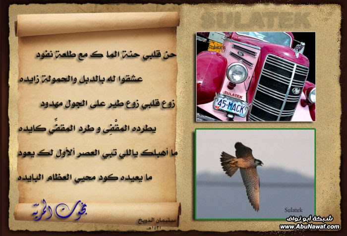 بخـّوت المريّة  ( شاعرة  لاتنسى )