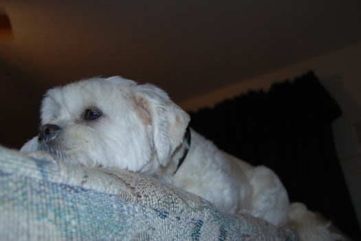 Wordless Wednesday - 08-12-09