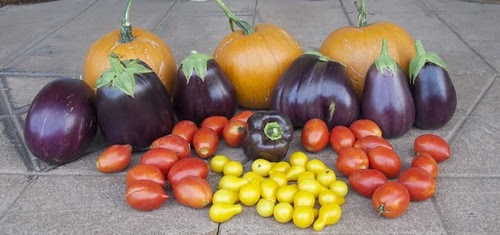 16Aug2012Harvest