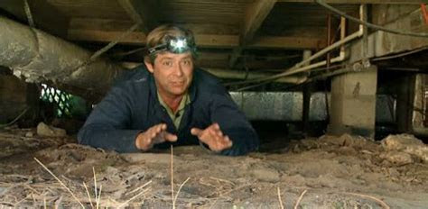 reduce mold  moisture   home todays