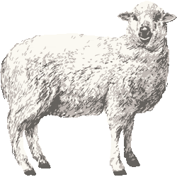 リアルタッチヒツジ No 178 リアルひつじのイラスト アイコン 条件付フリー素材集 スマホなど携帯電話対応
