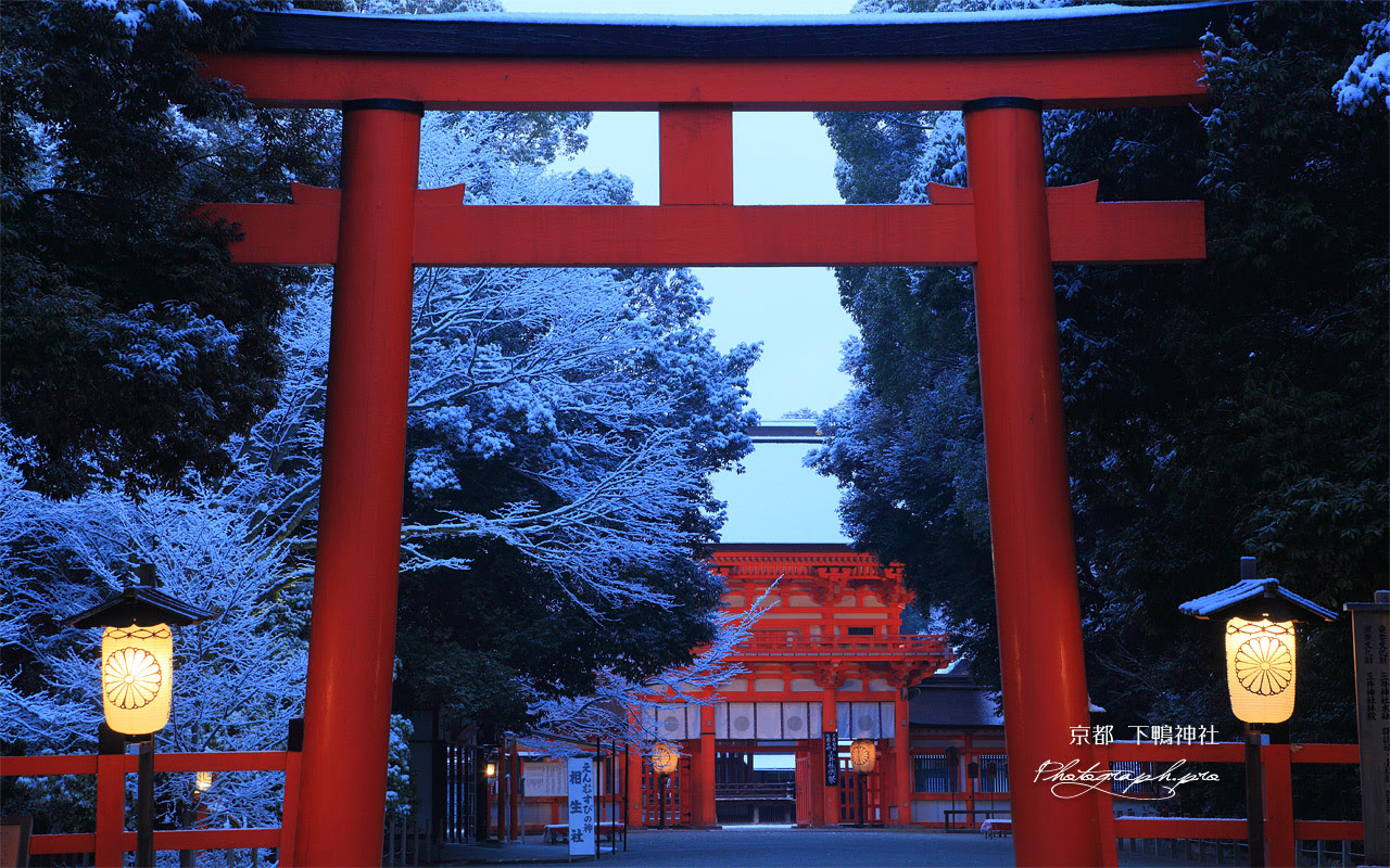 下鴨神社 大鳥居と雪化粧 の壁紙 1280x800