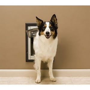 PetSafe-Wall-Dog-Door-Dual-Entry-Aluminum-Do-it-yourself-Medium