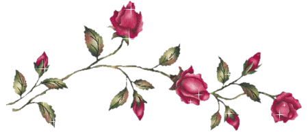 Кустовая ветвь роз