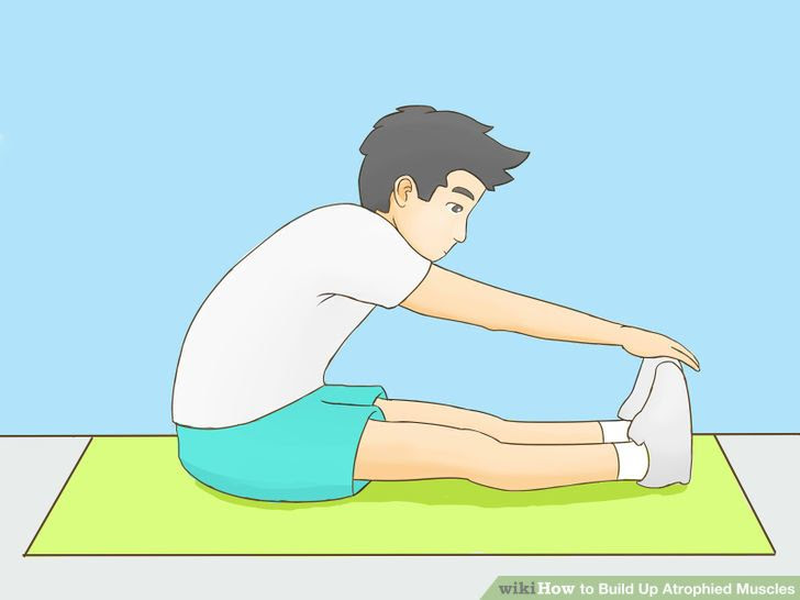 Build Up Atrophied Muscles Step 22 Version 2.jpg