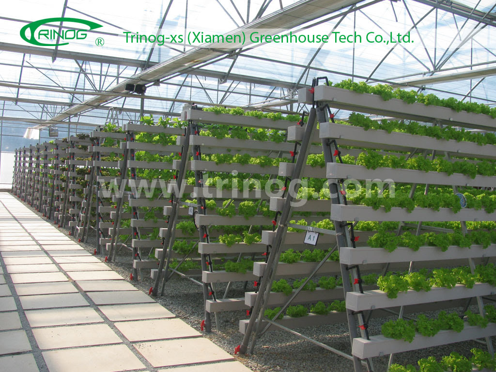 China Advanced Hydroponics Grow System (NFT) Photos &amp; Pictures - made ...
