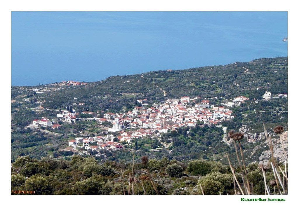  photo koumeika_1.jpg