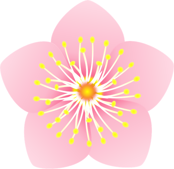 薄いピンク色の桃の花のイラスト 無料イラスト素材 ちいさないきもの