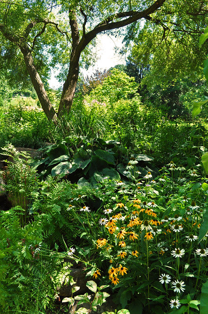 Pond Garden (6)