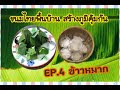 ข้าวหมาก ขนมไทยพื้นบ้านเสริมภูมิคุ้มกัน