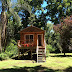 Tigre Delta - Delta del Tigre, río, cultura, sabor - CATATUR / With its much desired location, delta del tigre is the place to be while in tigre.