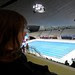 Diving World Cup - Aquatics Centre - London 2012 - 26th Feb 2012 272