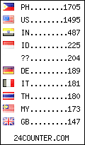 visitors by country counter