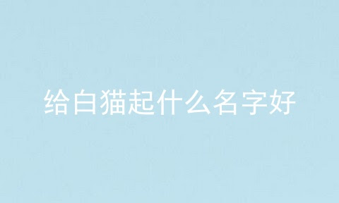 给白猫起什么名字好 绿白猫什么名字好 小白猫叫什么名字好听 宠伴网