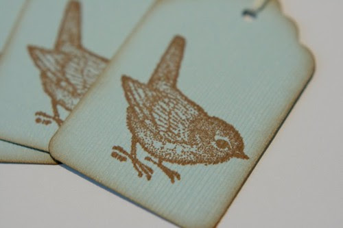 Bird tags