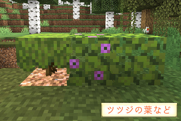 大型アプデ1 18 洞窟と崖のアップデート情報 パート2 マイクラ マイクラモール