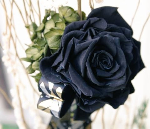 そう 黒い薔薇カッコいい トルコでしか咲かなく花言葉は 貴方はあくまで私のモノ 憎しみ 恨み だってさ 素敵 話題の画像がわかるサイト