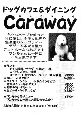 福井県のペット火葬 ペット葬儀社おおぞらのブログ 犬猫小動物