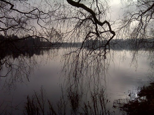 greenlake