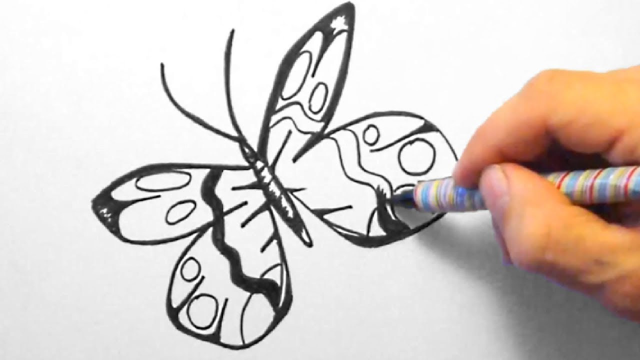 Schmetterling, zeichnen für Anfänger (Butterfly, drawing ...