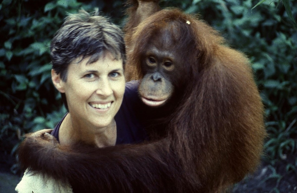 Please help save my rainforest home