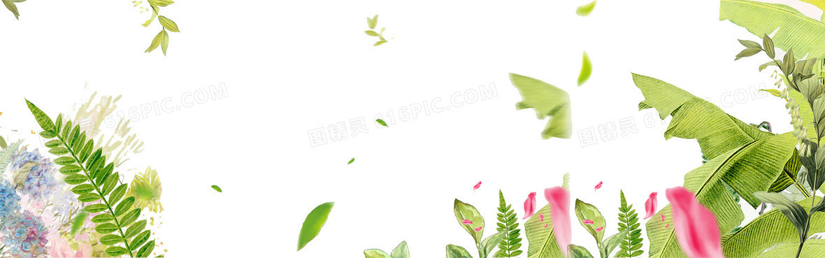 清新花朵背景背景图片下载 1969x615像素jpg格式 编号1pyf5d0n1 图精灵