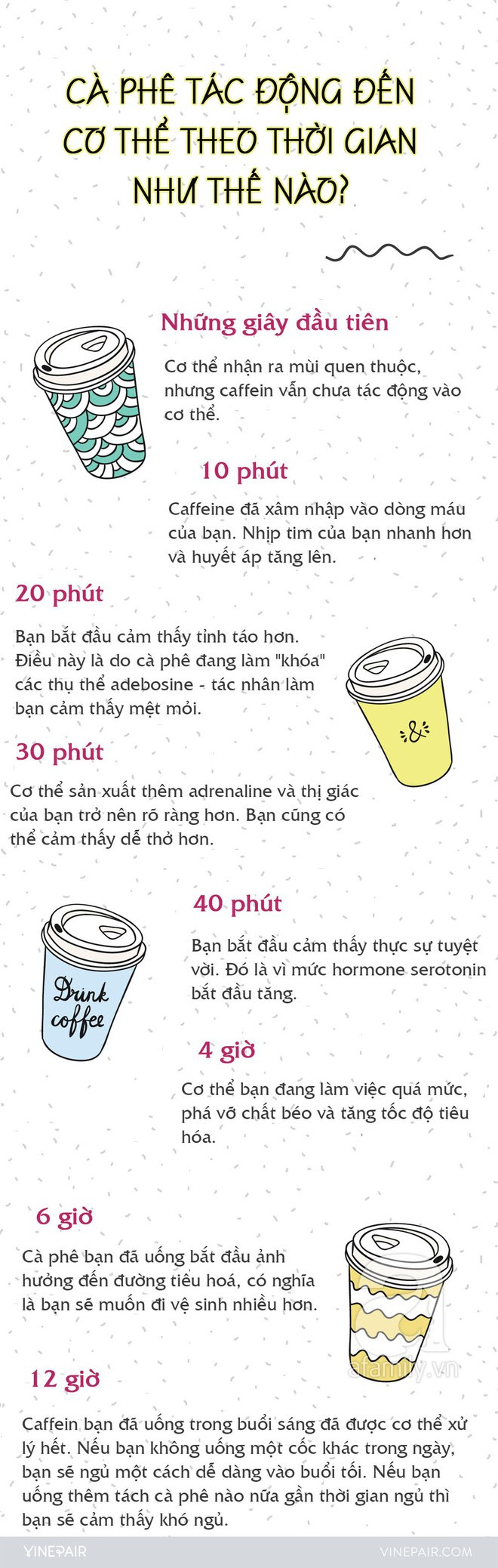 Khi uống 1 ly cafe, bạn có chắc đã nắm được sự tác động của nó lên cơ thể từng giây từng phút như thế nào? - Ảnh 2.