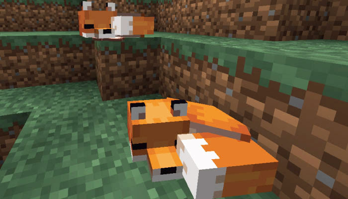 マイクラ キツネのスポーン地域と手懐け 繁殖方法 かわいいキツネのふるまいって マイクラモール