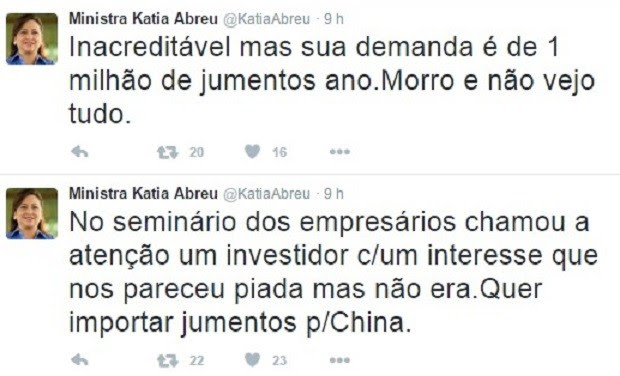 Ministra contou sobre interesse em jumentos brasileiros em sua conta no Twitter (Foto: Reprodução/Twitter)