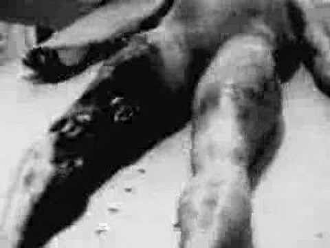 Autopsia Marciano rosswell valentin elizalde autotsia