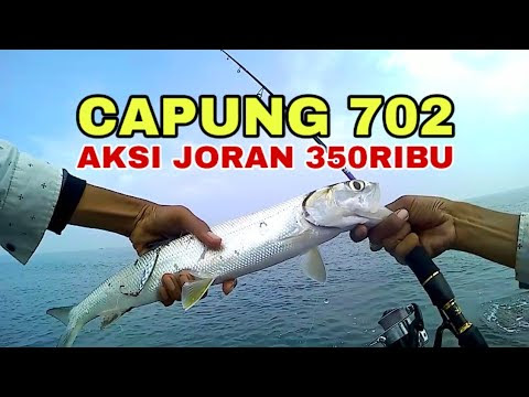 TIPS MEMILIH PIRANTI MANCING YANG BAIK
