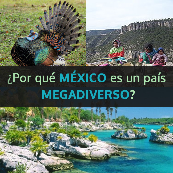¿Por Qué México Es Un País Megadiverso? - Tips Para Tu Viaje