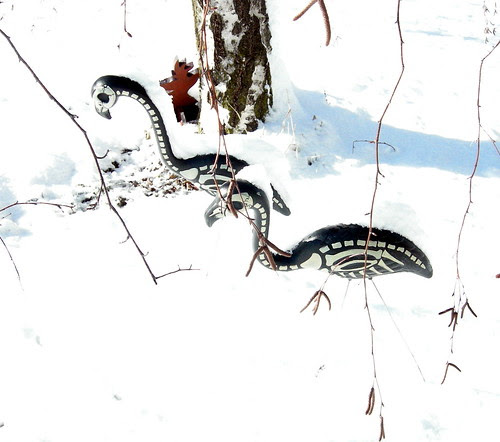 Dead flamingos in the snow