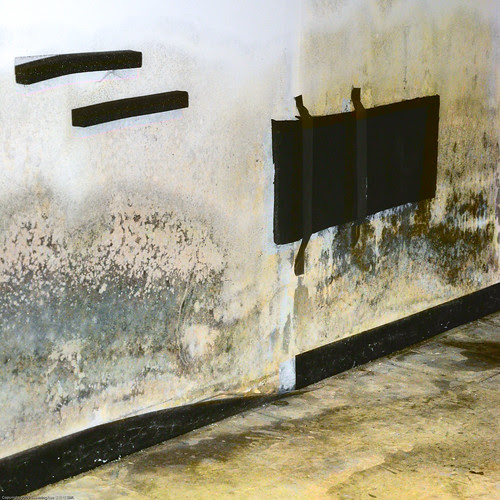 Untitled Forms / 20090919.SD850IS.2932.SQ / SML (by See-ming Lee 李思明 SML)