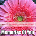 memoriesofyou