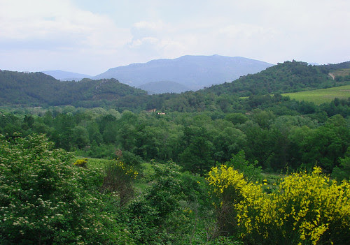 DSC02028