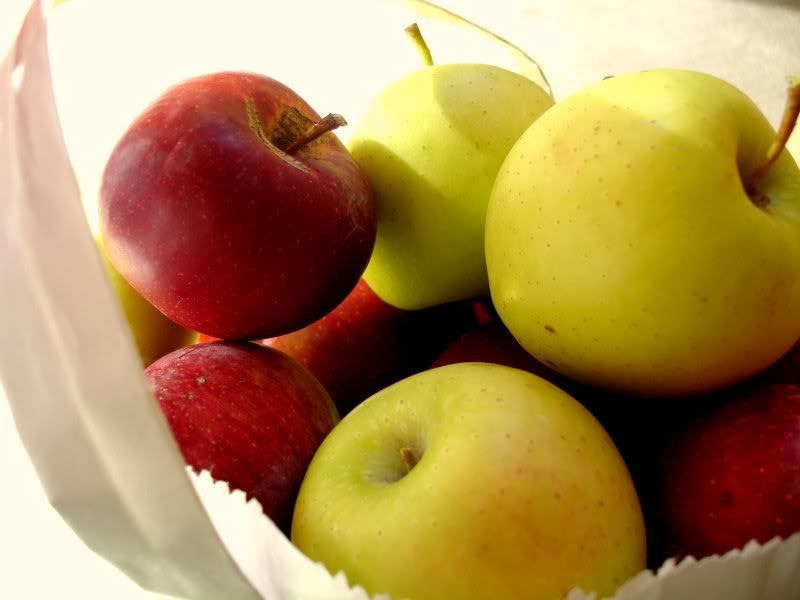 orchard apples