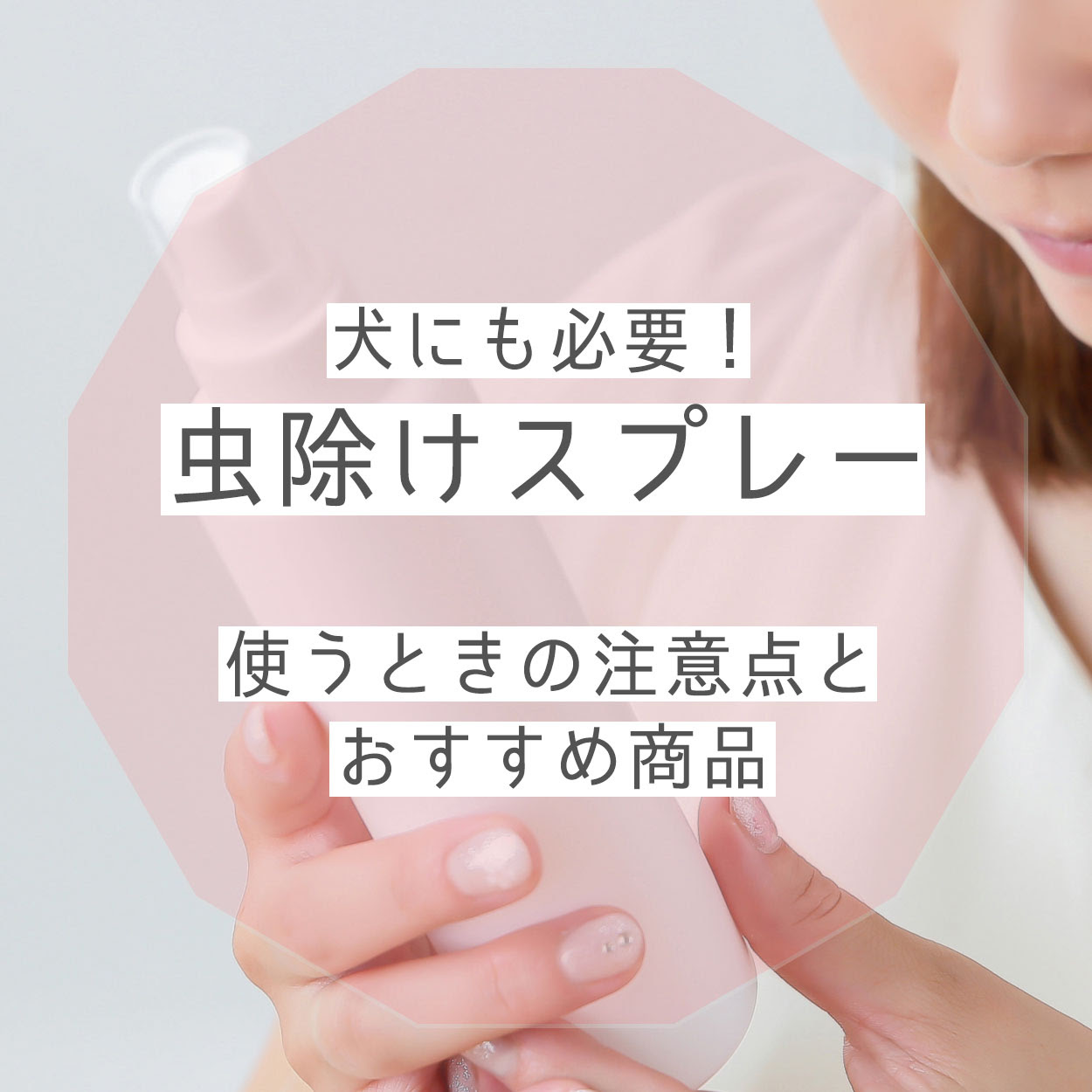 犬にも虫除けスプレーは必要 使うときの注意点とおすすめ商品