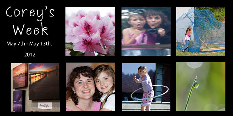 myweekdiptych84web