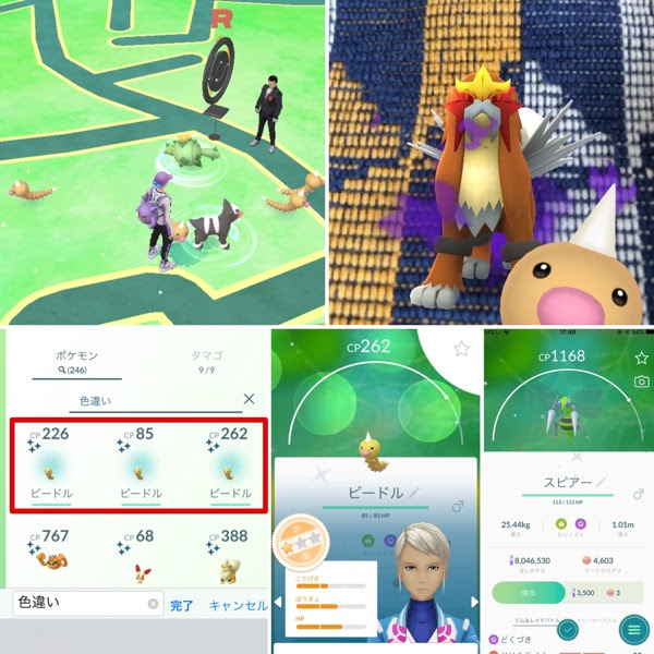 Ujp コミュニティデイはビードル