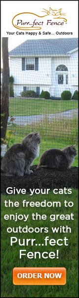 Purrfect Fence Keeps Cats Happy &amp; Safe Outdoors