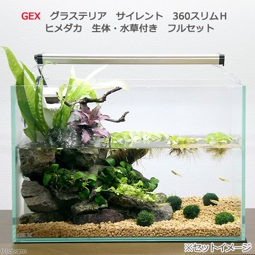 アクアリウムを始めるのは小型水槽やボトルでも 広い場所は不要 アクアリウム 熱帯魚が好きだから Mega Aquarium