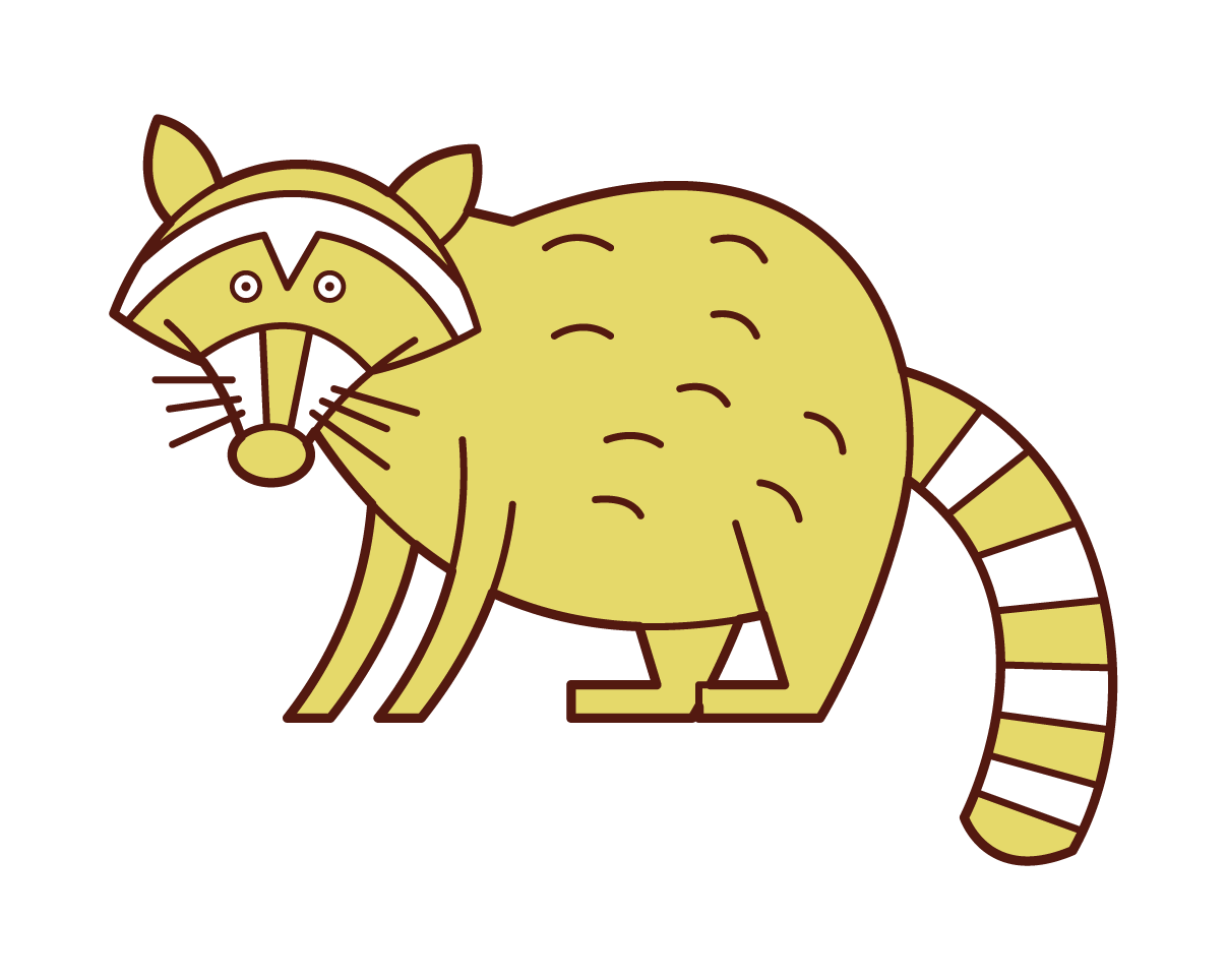 アライグマのイラスト Kukukeke ククケケ