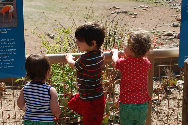 Phoenix Zoo, 2/27/12
