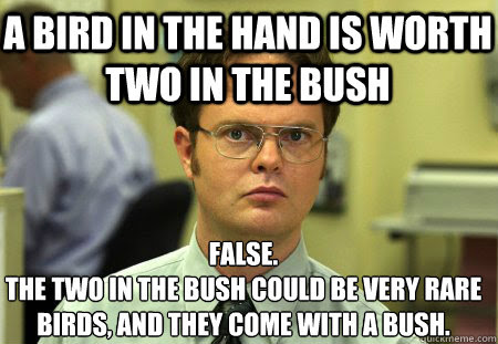 Image result for bird in the hand is worth two in the bush cartoon