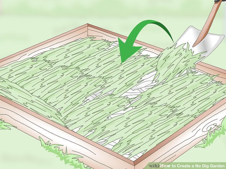Create a No Dig Garden Step 9 Version 2.jpg