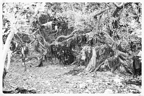 The Dying Planet by firoze shakir photographerno1
